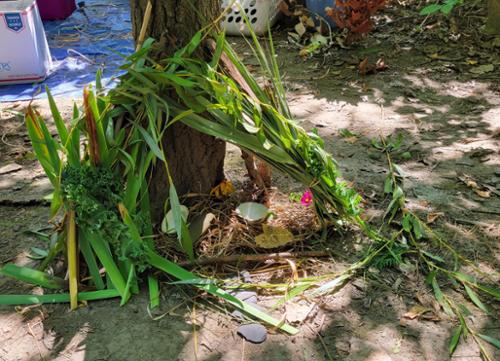 fairy abode created by visitors from Natural materials 