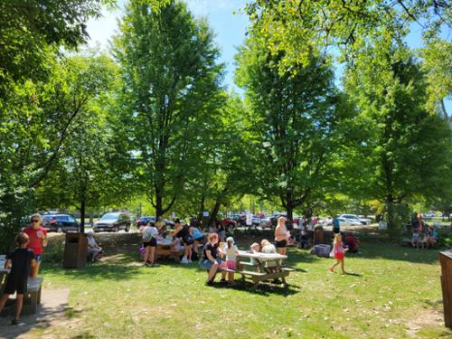 The trees  look great in the sunshine as participants work on their enchanted crafts